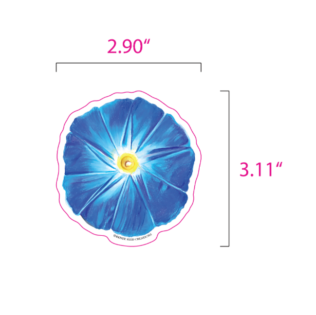 A blue morning glory sticker or decal with a yellow center, shown on a white background with pink dimension lines and text indicating 2.90 inches by 3.