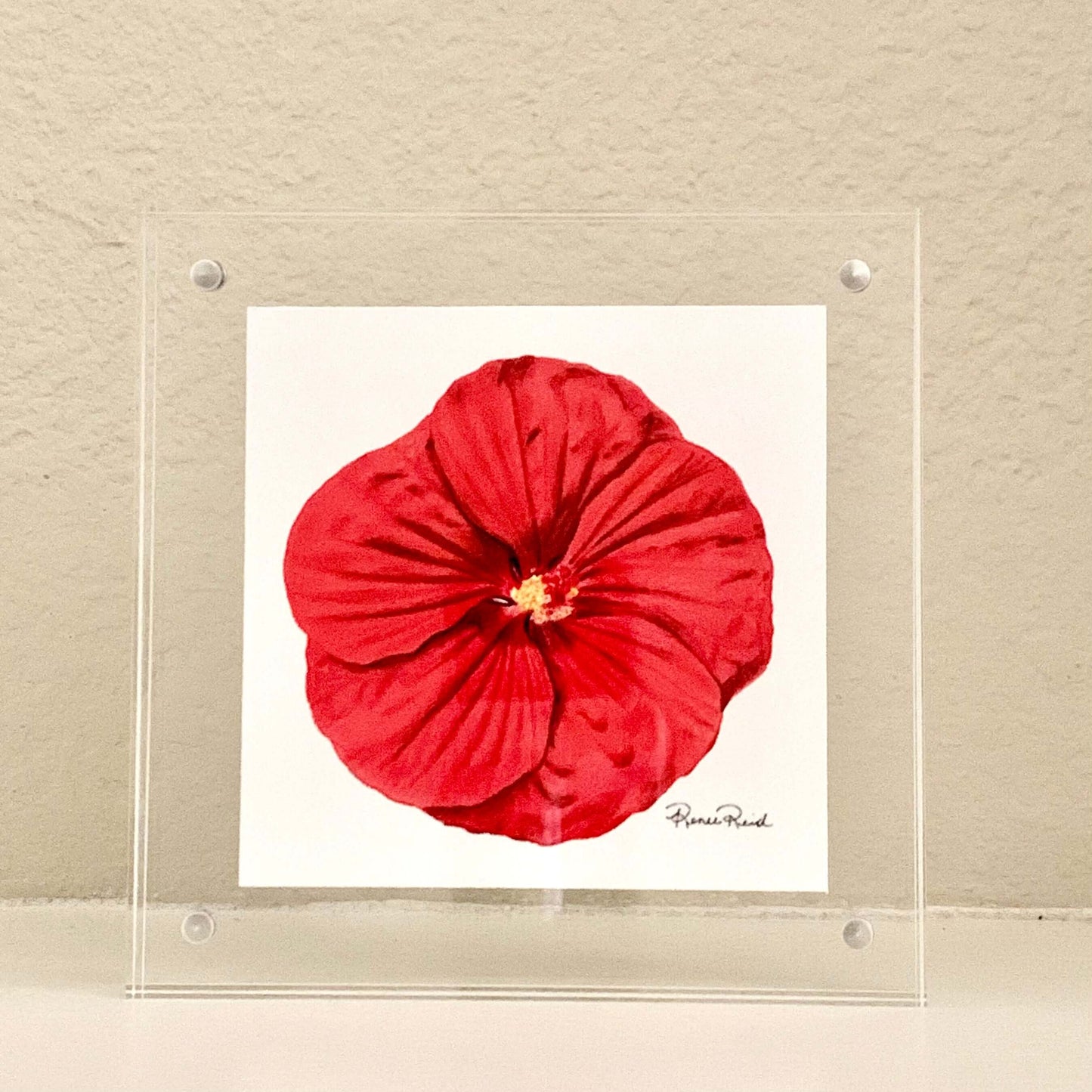 MOTHER'S DAY Red Hibiscus Art Print