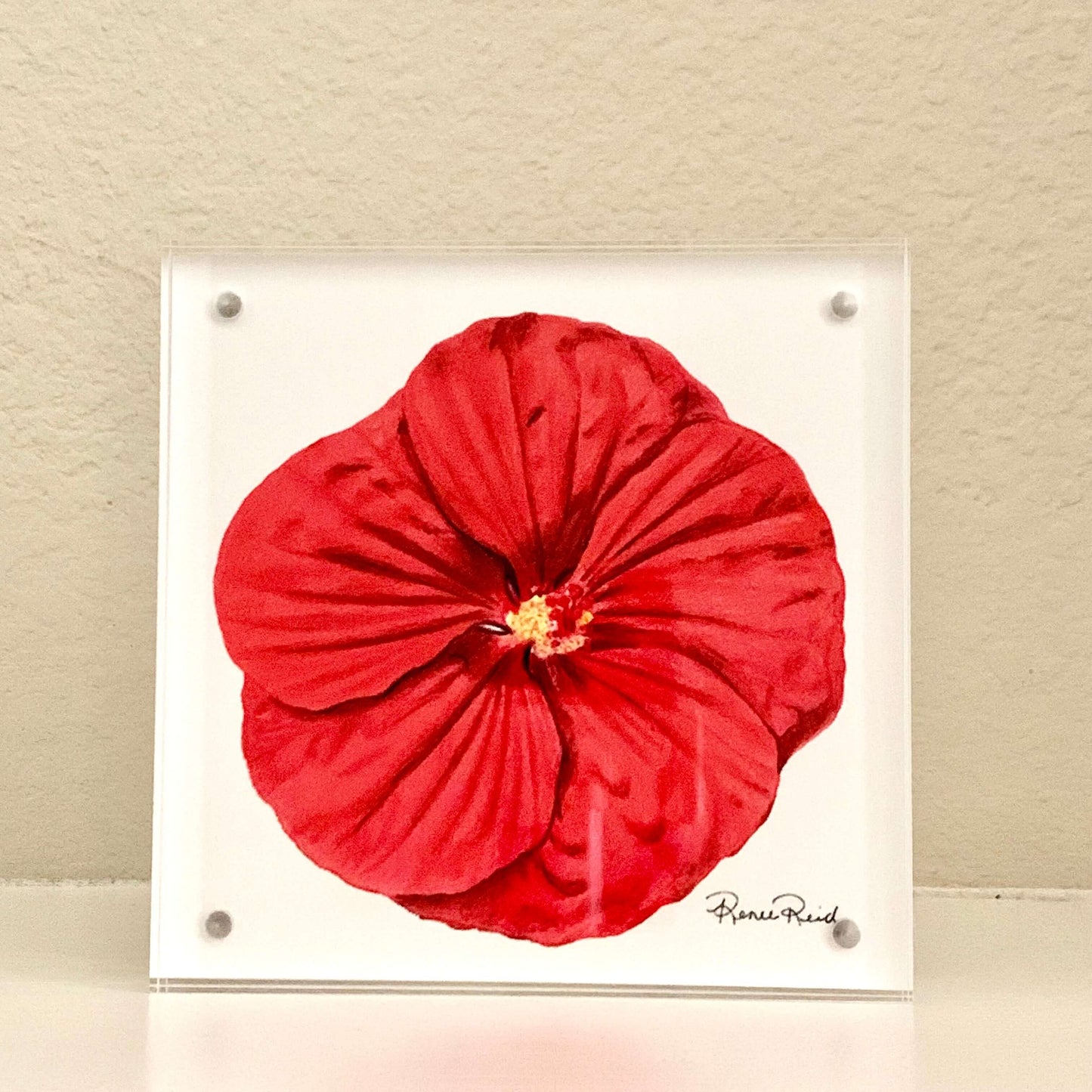 MOTHER'S DAY Red Hibiscus Art Print