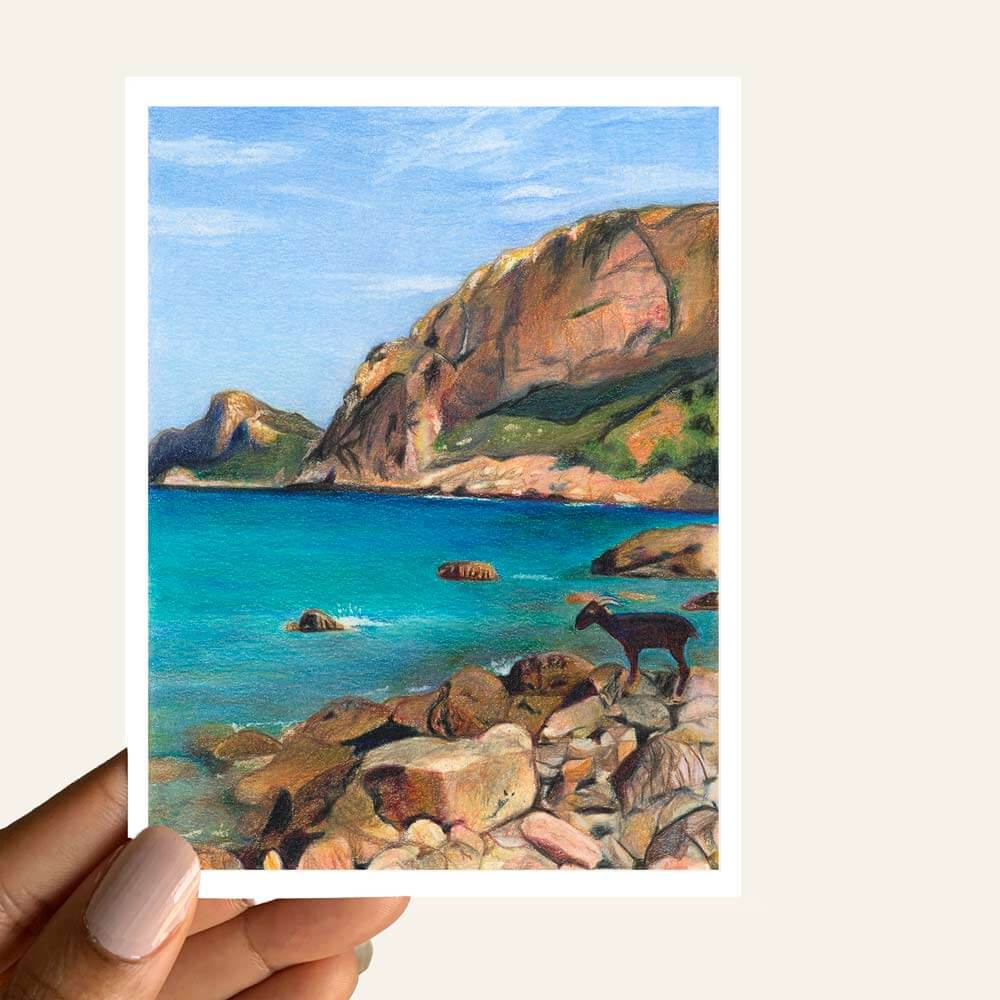 Close up of greeting card of a goat on a rocky seaside beach with cliffs in the background