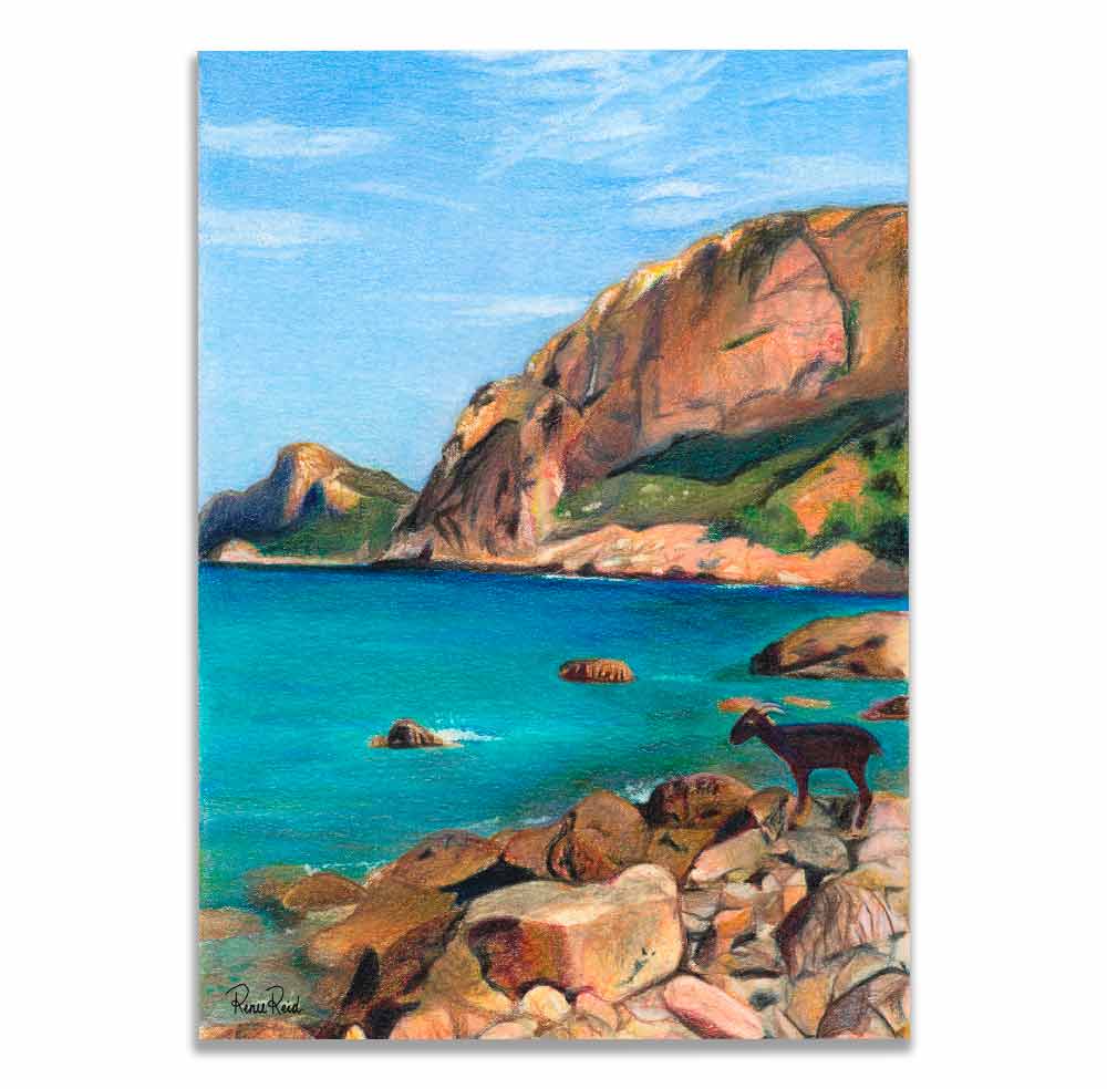 Renee Reid art print of a goat on a rocky seaside beach with cliffs in the background