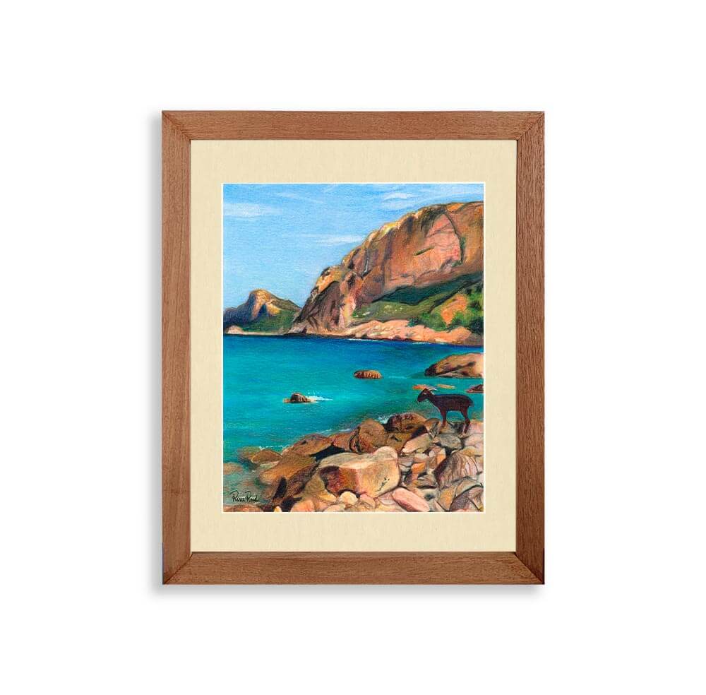 Renee Reid framed art print of a goat on a rocky seaside beach with cliffs in the background