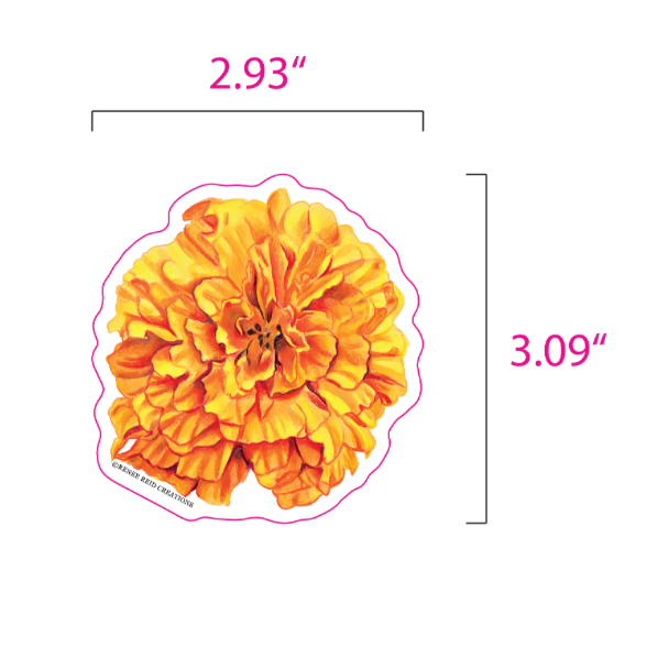 A yellow and orange marigold flower sticker shown with dimension lines and text indicating a height of 3.09 inches and a width of 2.