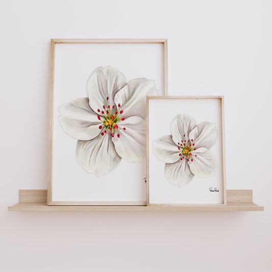 Straßenschild Fine Art Print