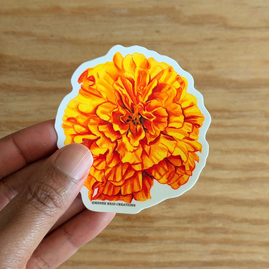Hand holding a Orange Marigold Flower Vinyl Sticker against a wooden background