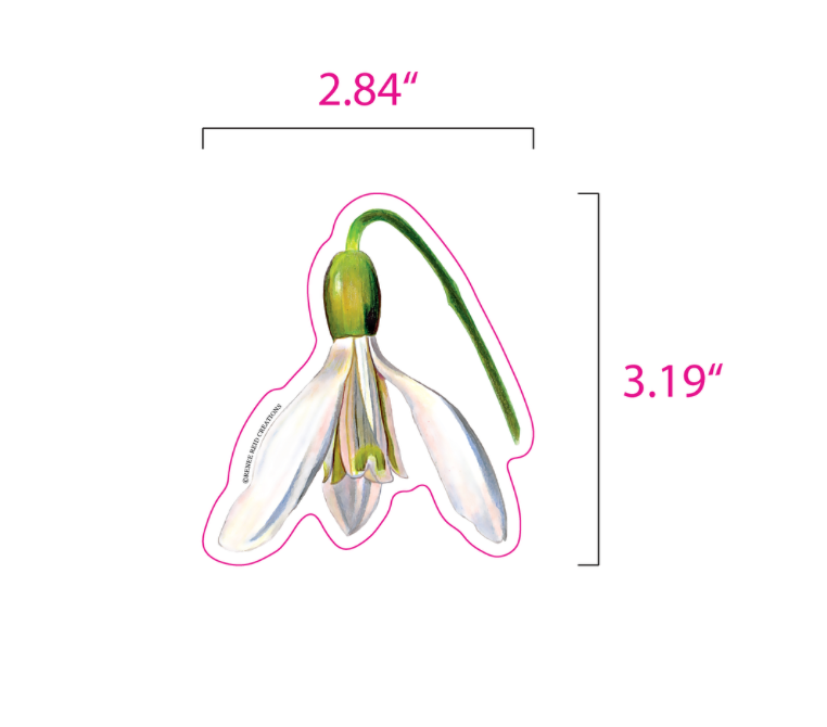 Snowdrop Flower Vinyl Sticker – Matte 3"