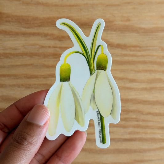 Hand holding a Snowdrop Duo Flower Vinyl Sticker on a wooden surface