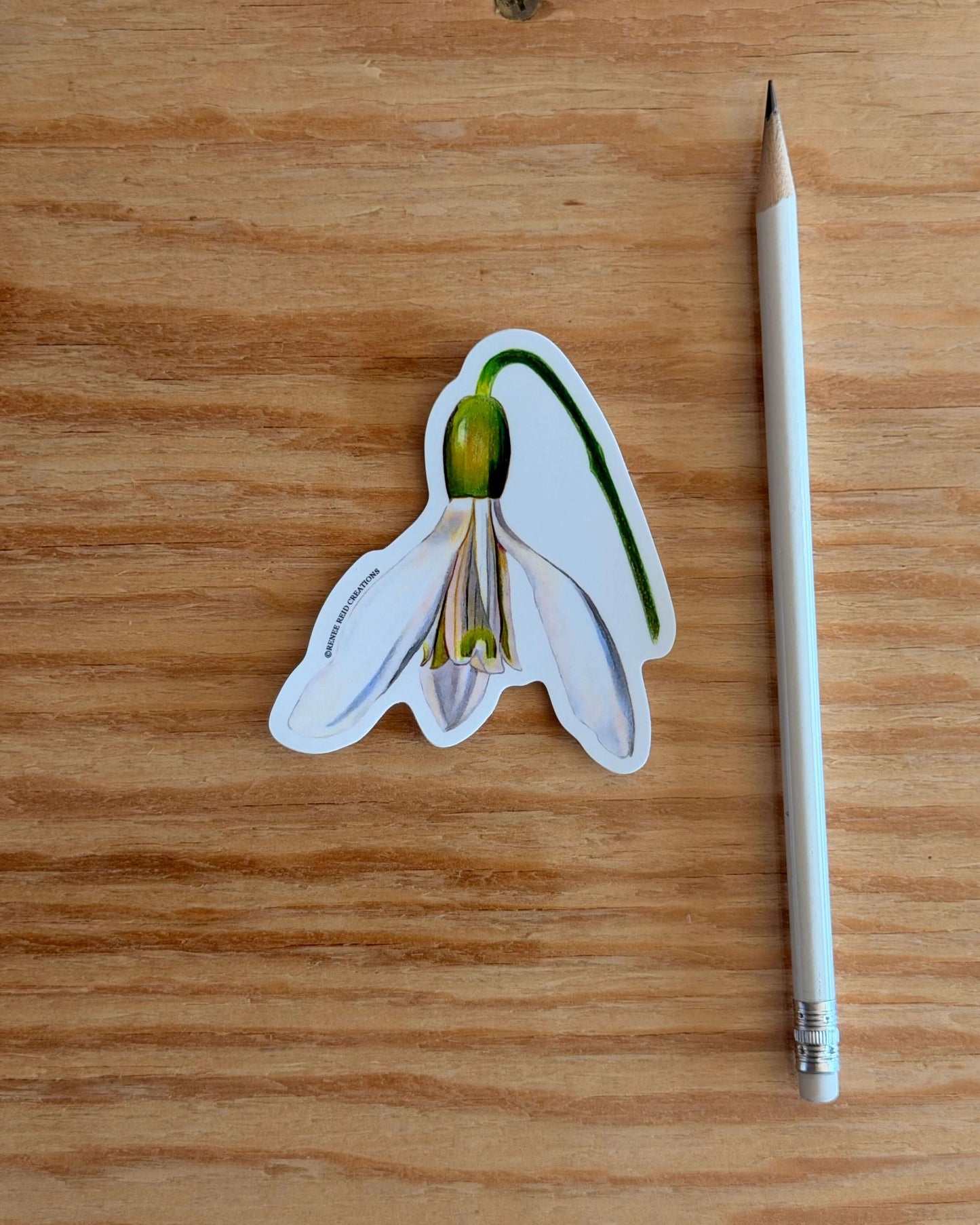 Snowdrop Flower Vinyl Sticker on a wooden surface with a pencil next to it.