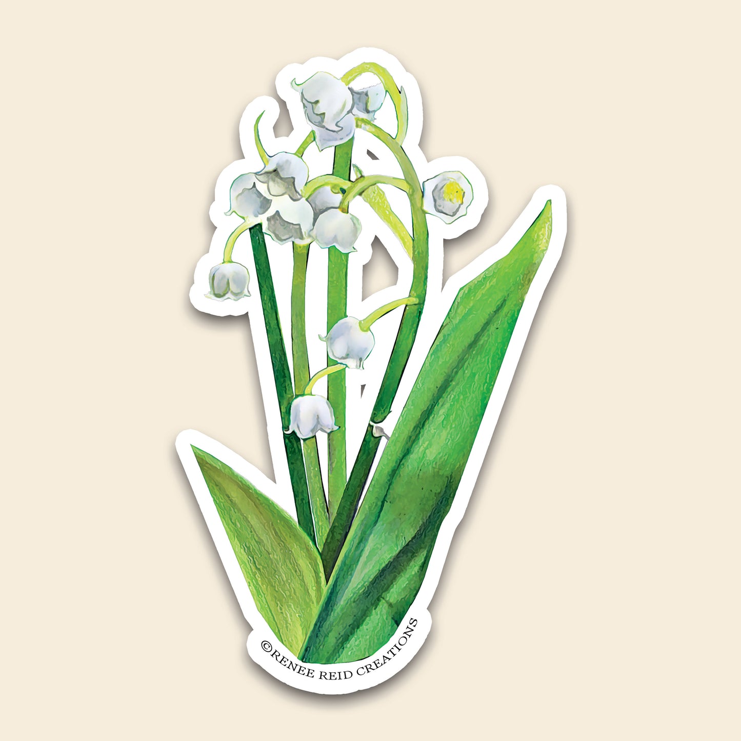 Lily of the Valley Flower Vinyl Sticker featuring delicate white blooms and green leaves on a light background.