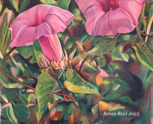 April Recap: Spring Shows, Mother's Day Limited Offer and Morning Glories