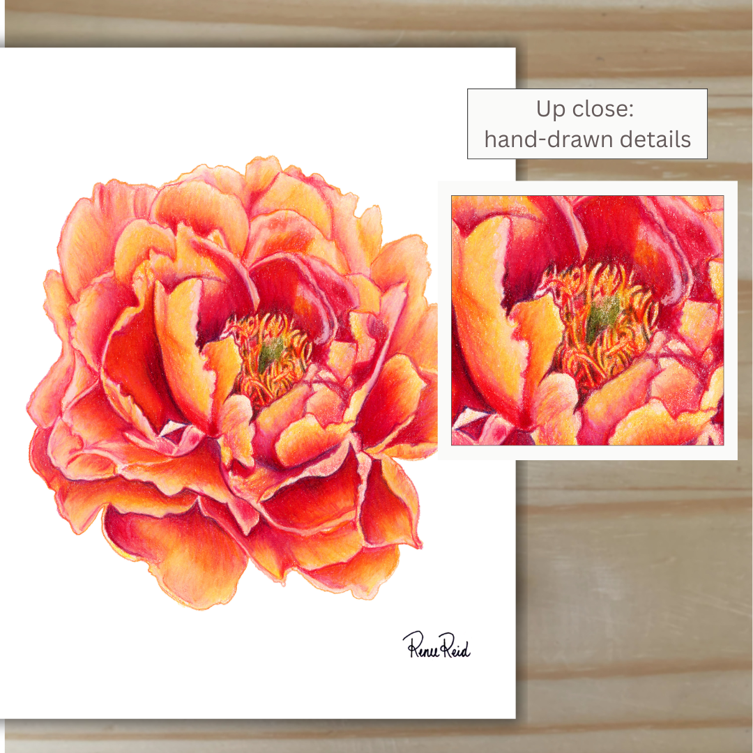 November Peony Classic Art Print