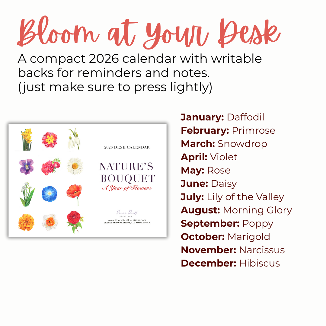2026 Floral Mini Desk Calendar showcasing flowers for each month with a clean design and writable backs.