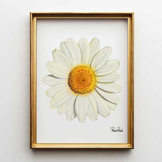 Straßenschild Fine Art Print