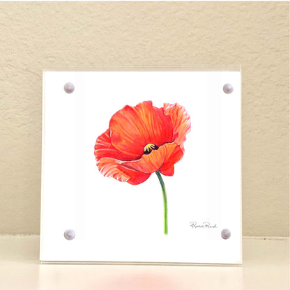 August Poppy Birth Flower Acrylic Framed Art Print