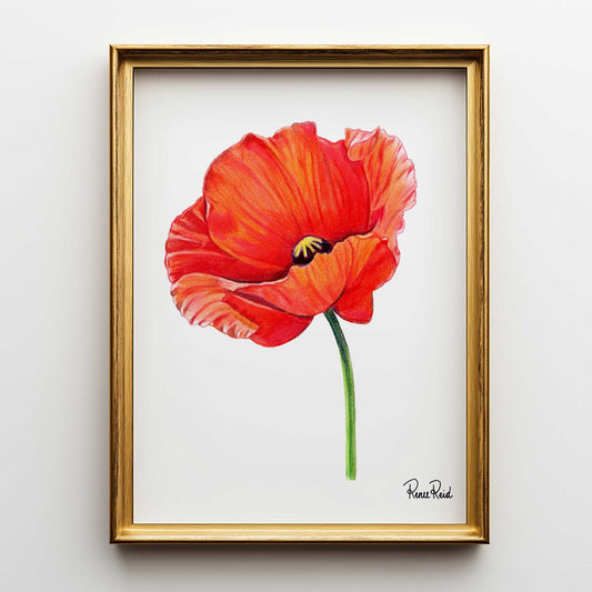 Straßenschild Fine Art Print
