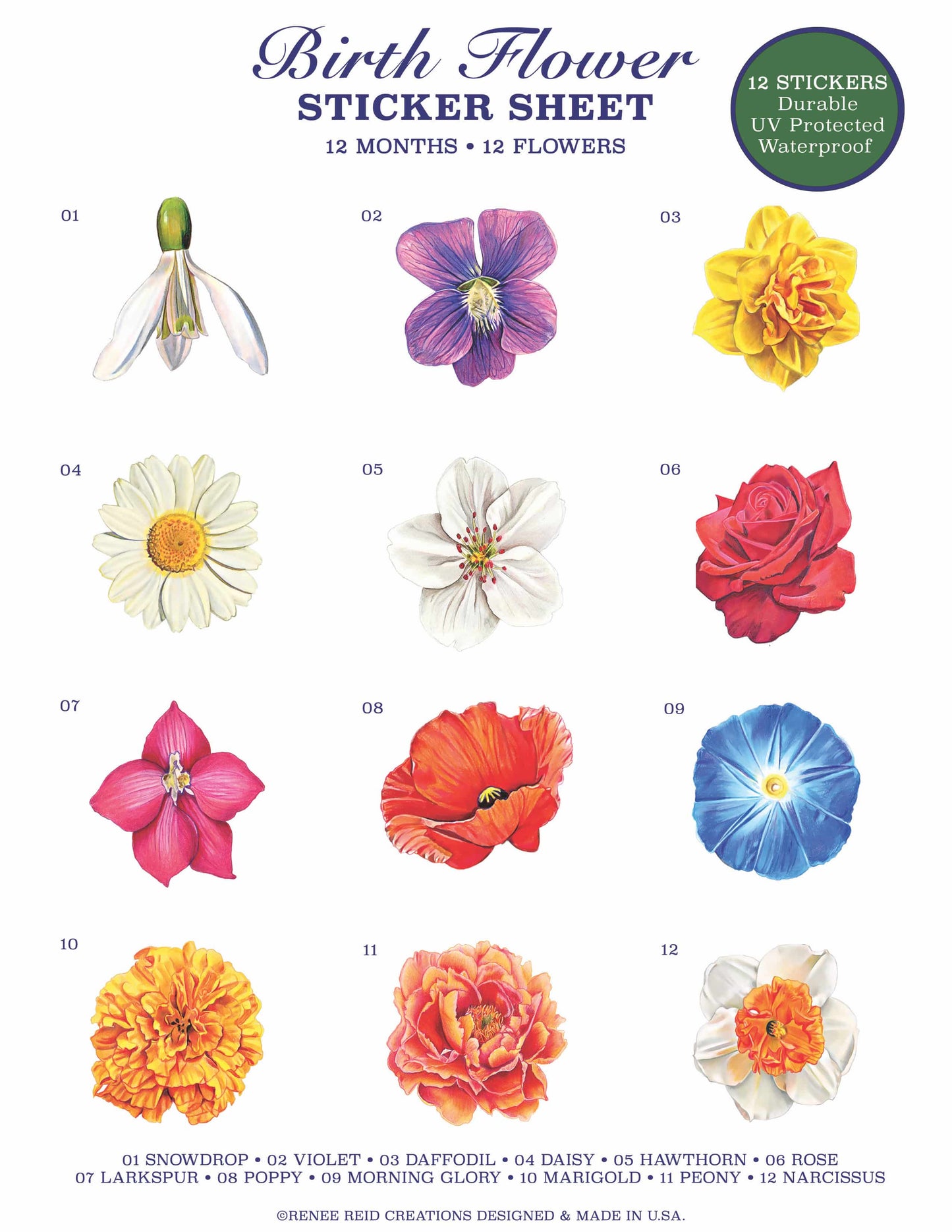 Birth Flower Sticker Sheet – Floral Stickers for Every Month