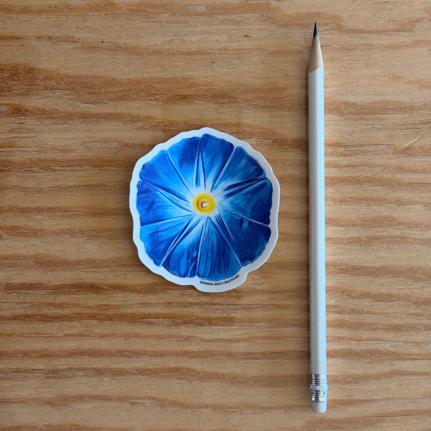 Blue Morning Glory Flower Vinyl Sticker and white pencil on a wooden surface