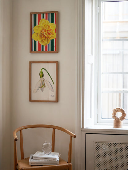 March Daffodil No. 2 Striped Art Print