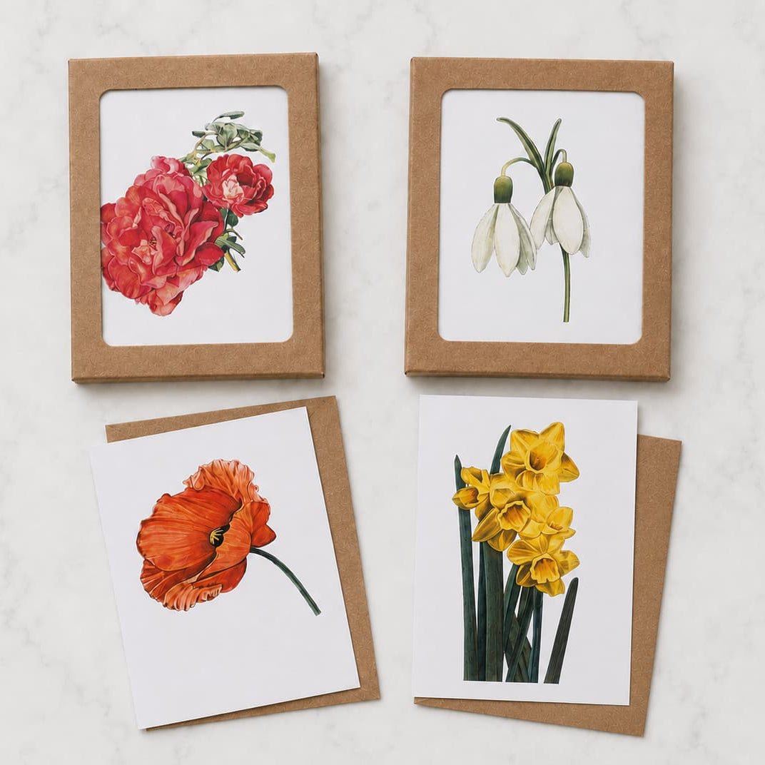 Four botanical art greeting cards  in a  kraft box arranged on a light marble surface. The cards created by Renee Reid Creations  depict red flowers, white snowdrops, an orange poppy, and yellow daffodils, with two additional prints partially visible behind them.