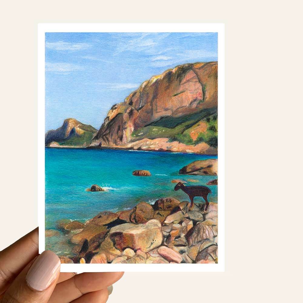 Close up of greeting card of a goat on a rocky seaside beach with cliffs in the background 