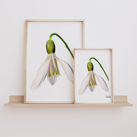 Straßenschild Fine Art Print