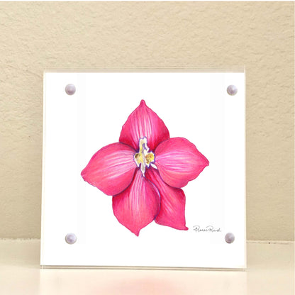 July Larkspur Birth Flower Acrylic Framed Art Print