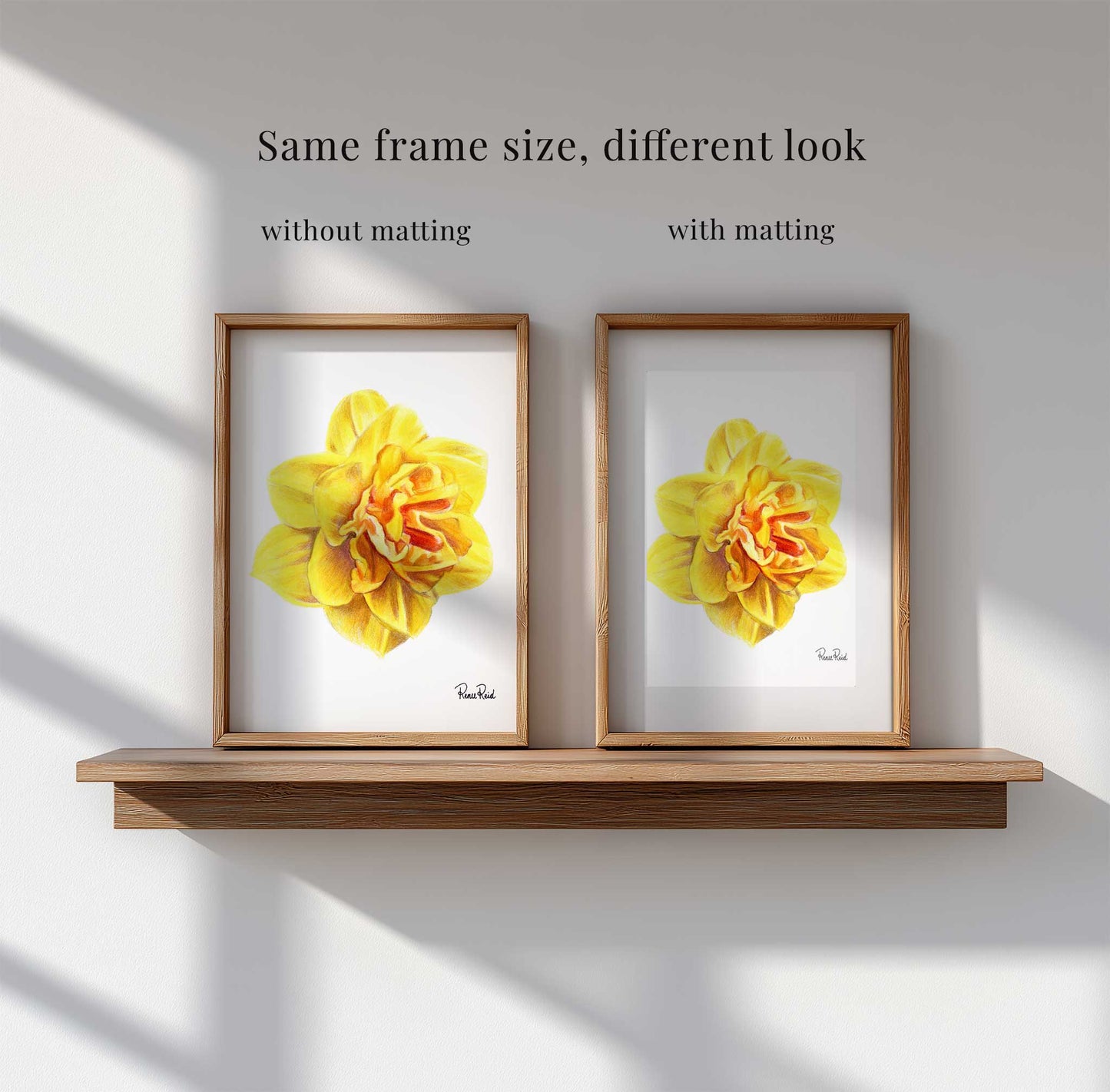 March Daffodil No. 2 Classic Art Print