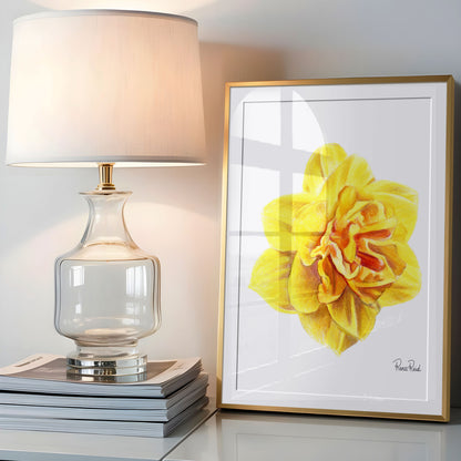 March Daffodil No. 2 Classic Art Print