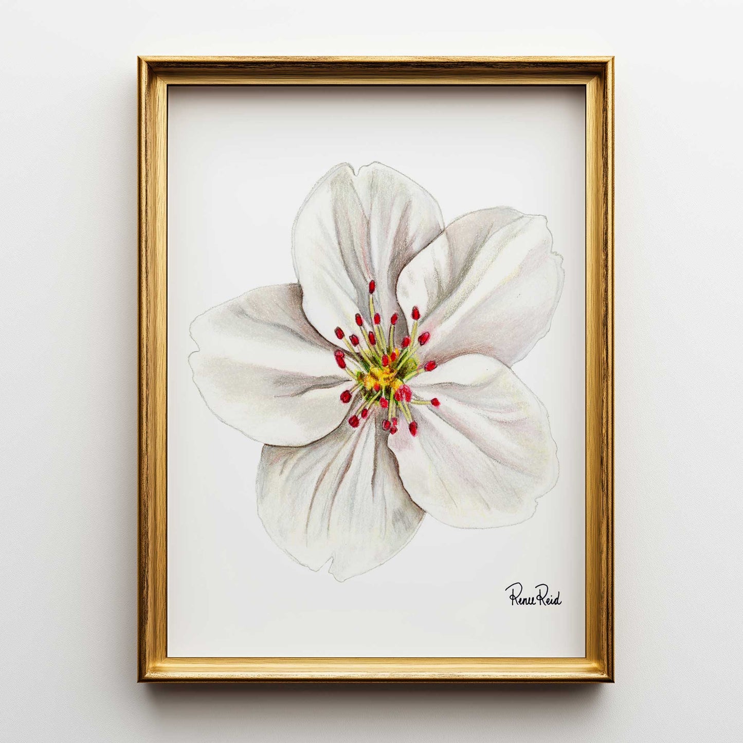 May Hawthorn Classic Art Print