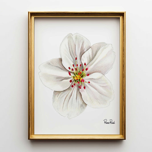 Straßenschild Fine Art Print