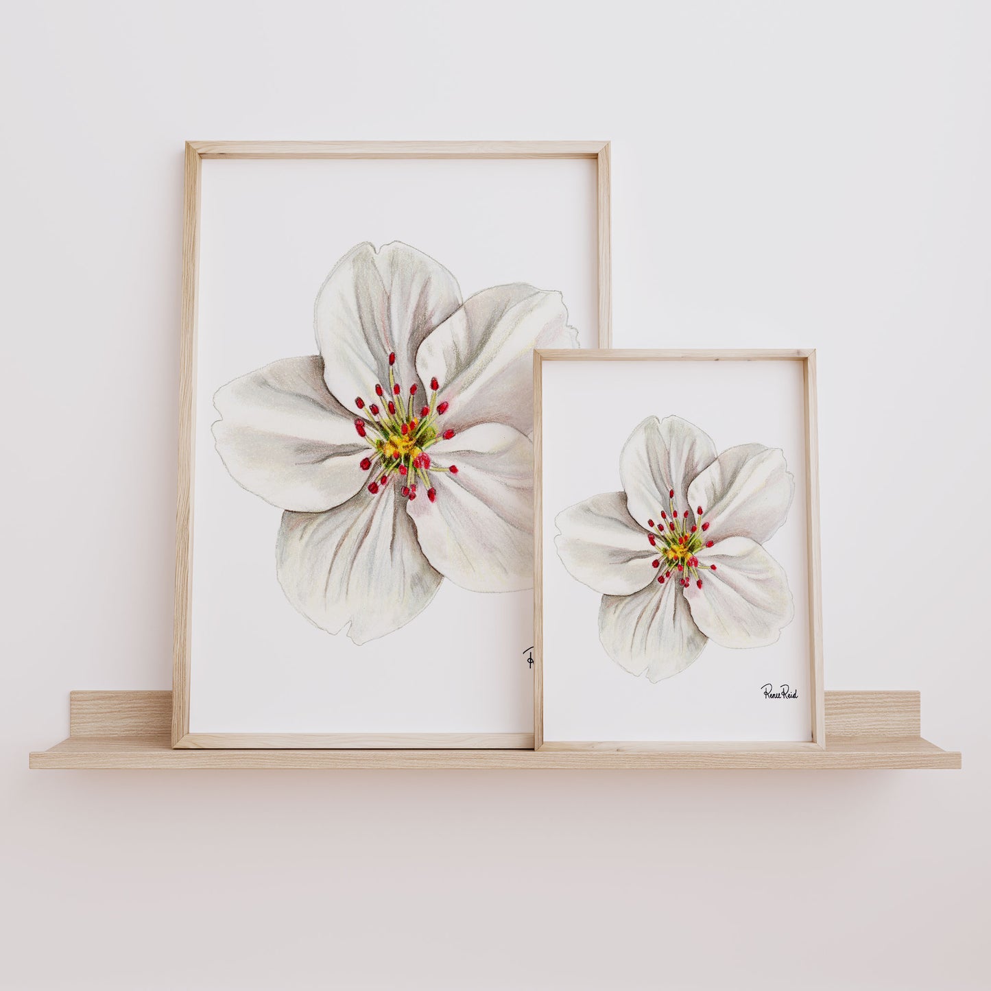 May Hawthorn Classic Art Print
