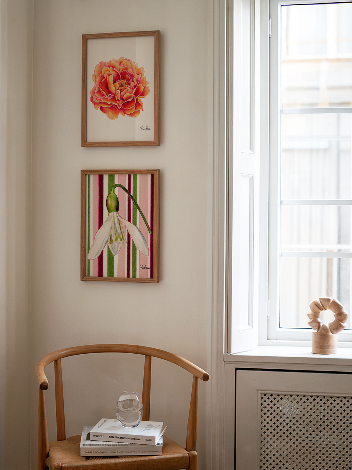 November Peony Classic Art Print