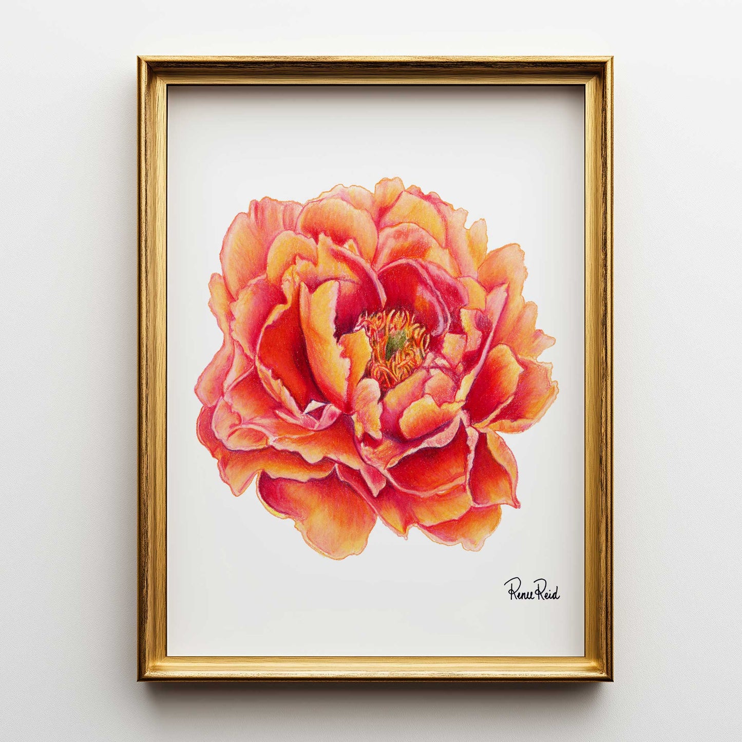 November Peony Classic Art Print