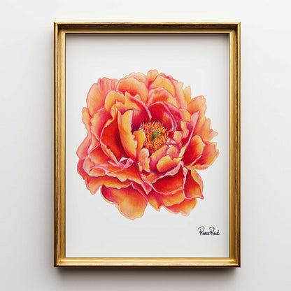 November Peony Classic Art Print