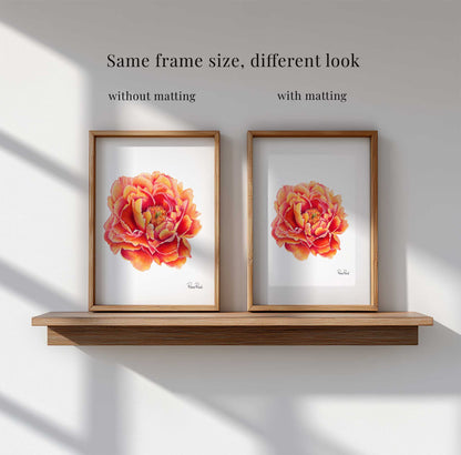 November Peony Classic Art Print