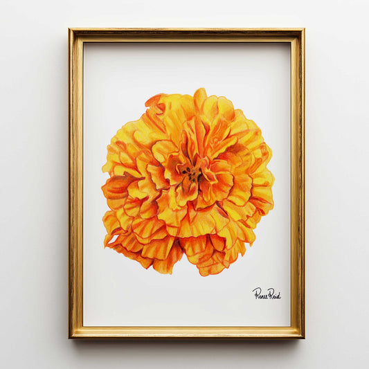 Straßenschild Fine Art Print
