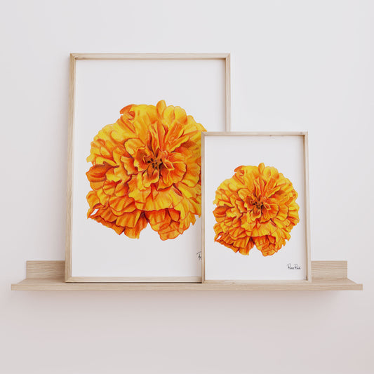 Straßenschild Fine Art Print