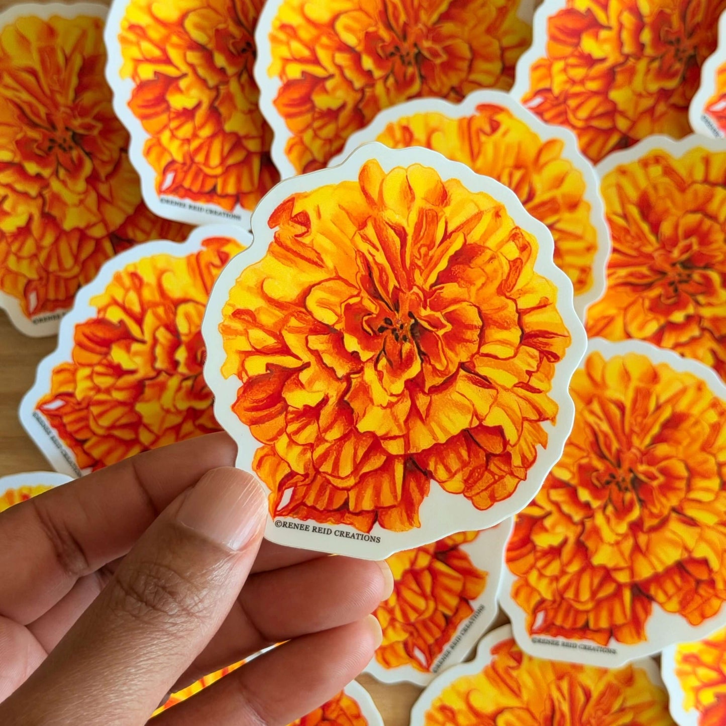 Hand holding a Orange Marigold Flower Vinyl Sticker with more stickers in the background.