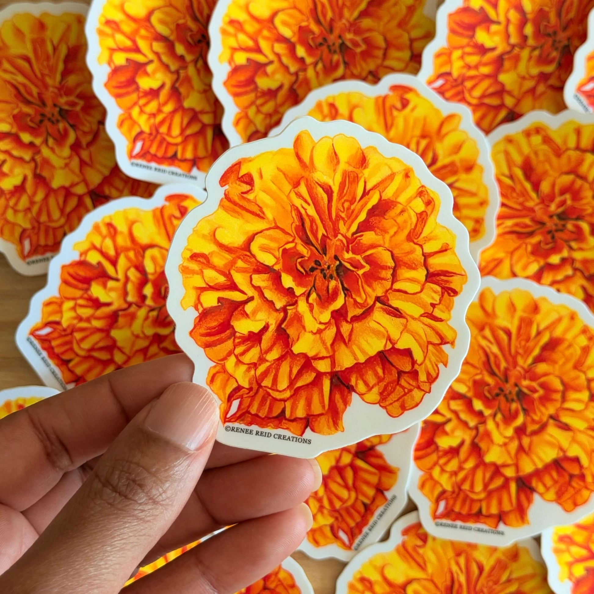 Hand holding a Orange Marigold Flower Vinyl Sticker with more stickers in the background.