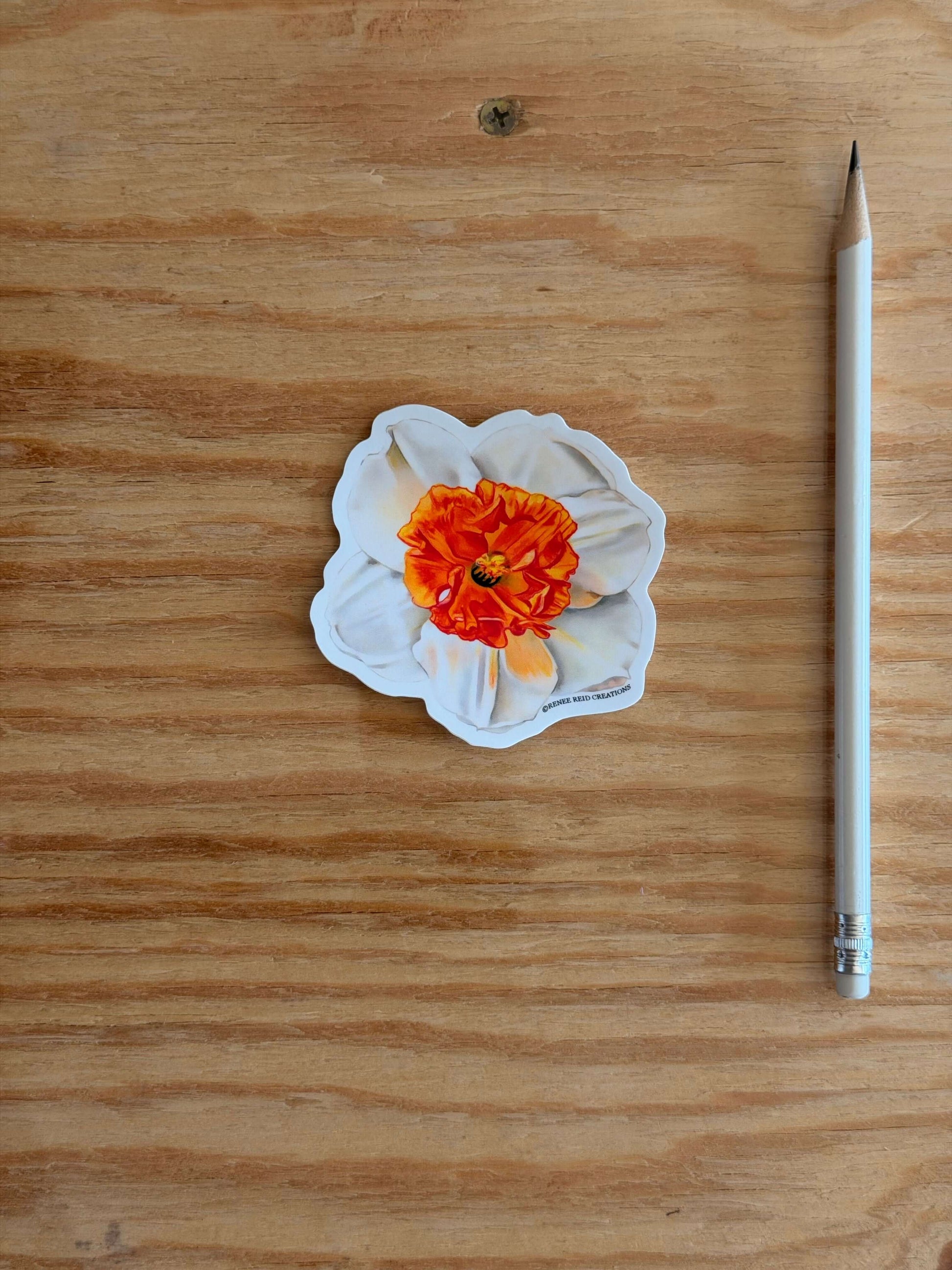 Orange Narcissus Flower Vinyl Sticker on a wooden surface next to a pencil