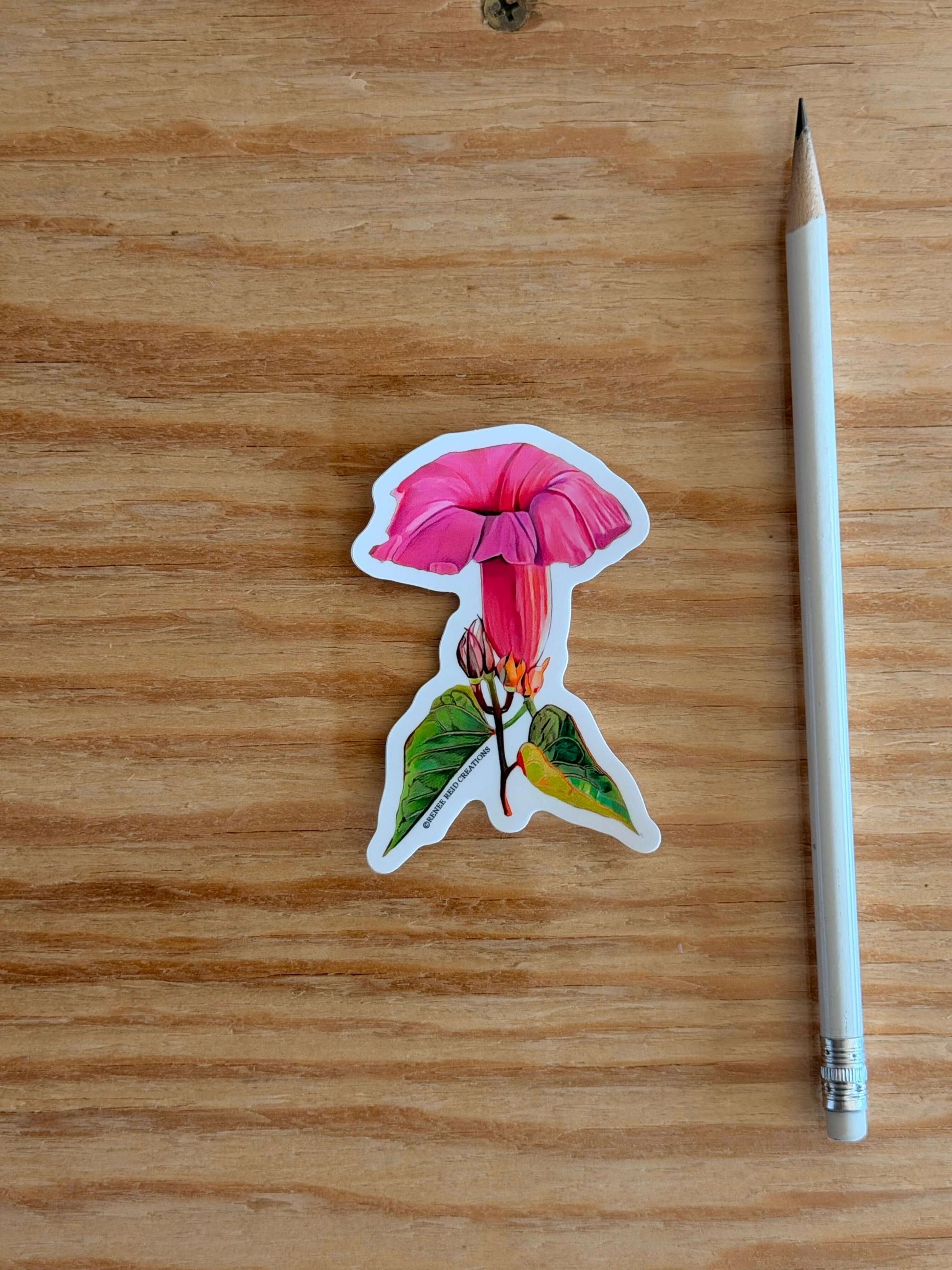 Pink Morning Glory Flower Vinyl Sticker on a wooden surface next to a pencil.
