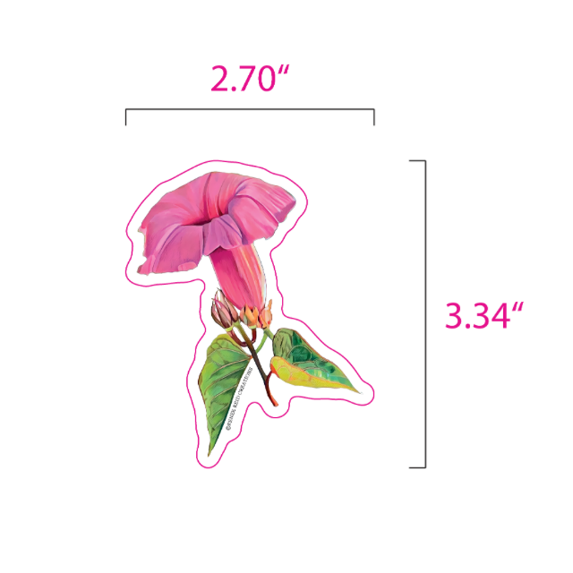 A pink morning glory flower sticker or decal with green leaves, shown on a white background with dimension lines and text indicating 2.70 inches wide by 3.
