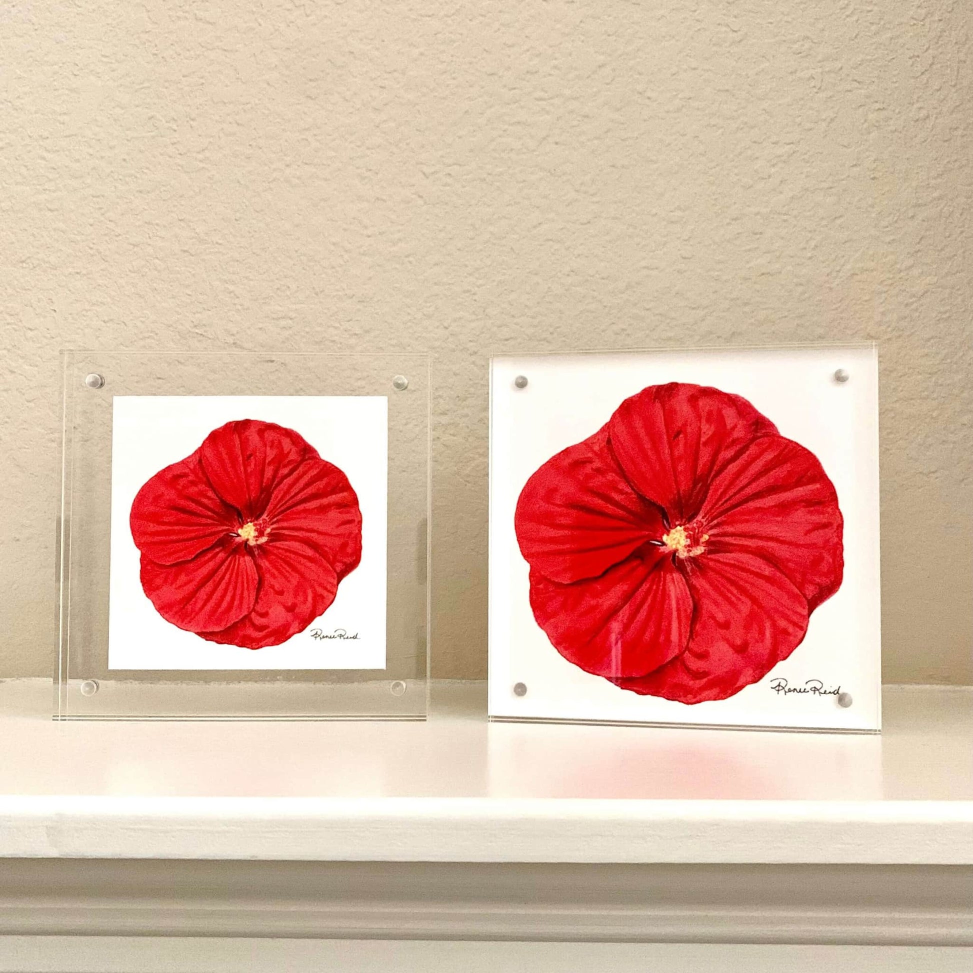 Red Hibicus floral acrylic blocks on a shelf with a beige wall.