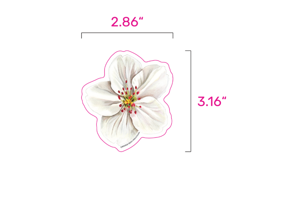 Hawthorn Flower  Vinyl Sticker – Matte 3"