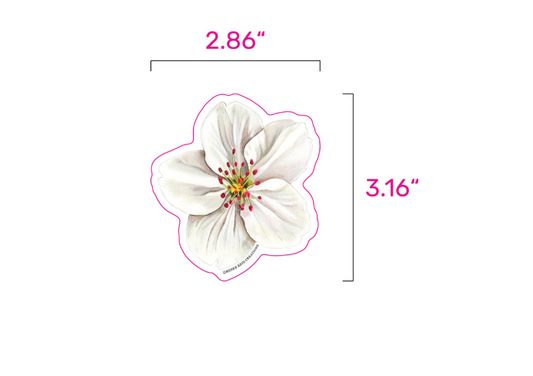 Hawthorn Flower  Vinyl Sticker – Matte 3"