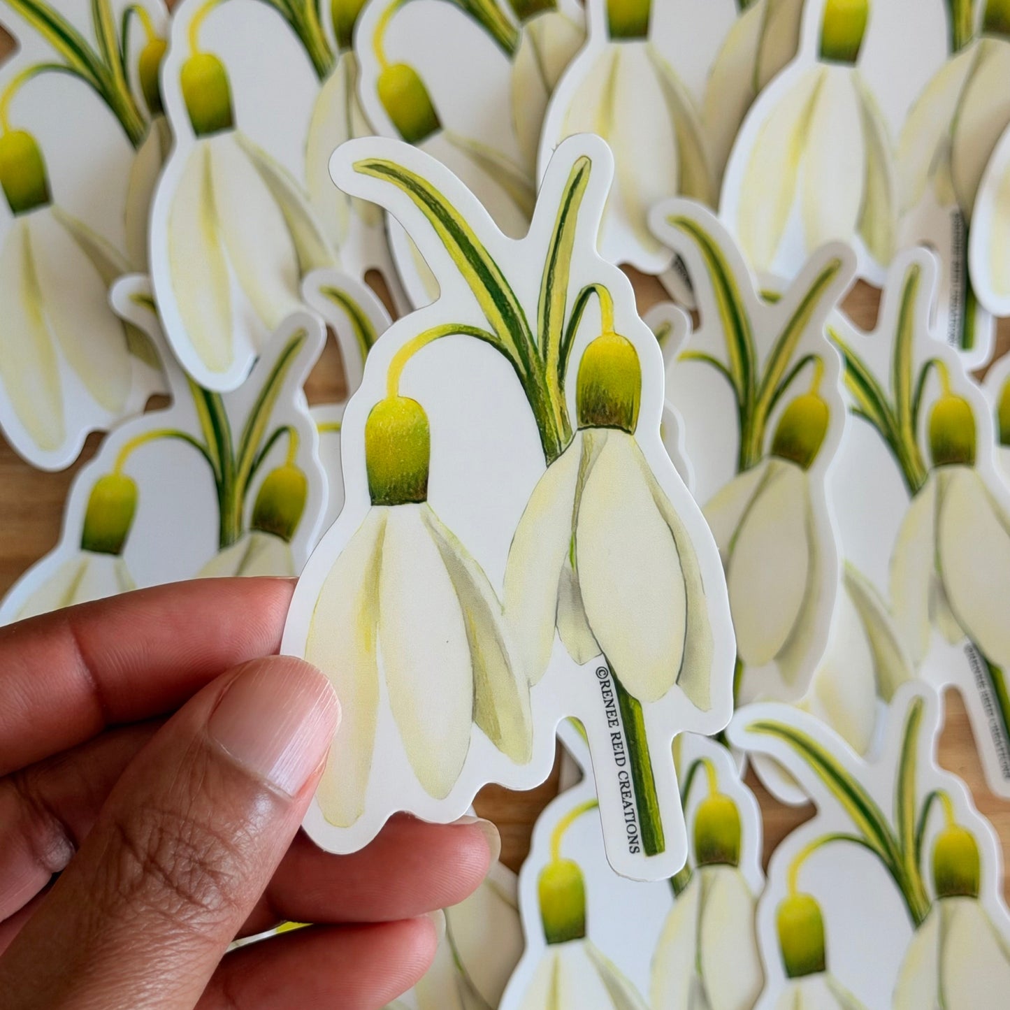 Snowdrop Duo Flower Vinyl Sticker held by a hand with more stickers in the background.
