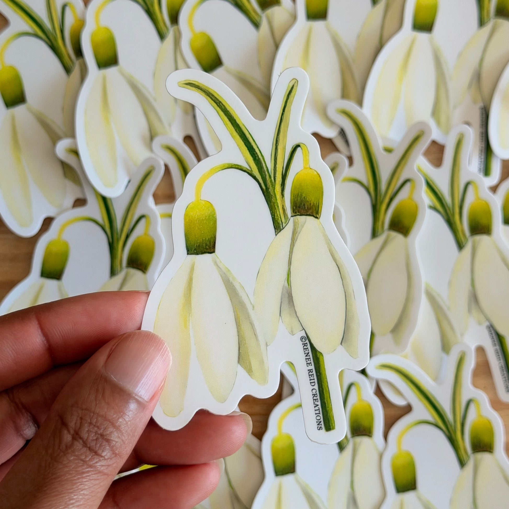Snowdrop Duo Flower Vinyl Sticker held by a hand with more stickers in the background.