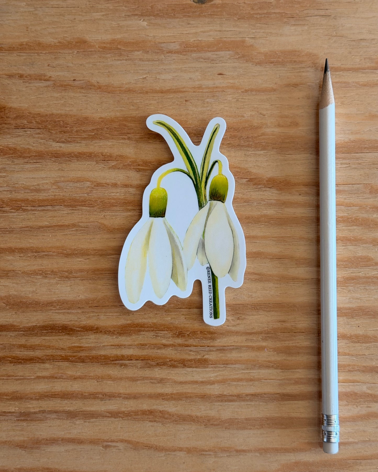 Snowdrop Duo Flower Vinyl Sticker on a wooden surface with a pencil next to it.