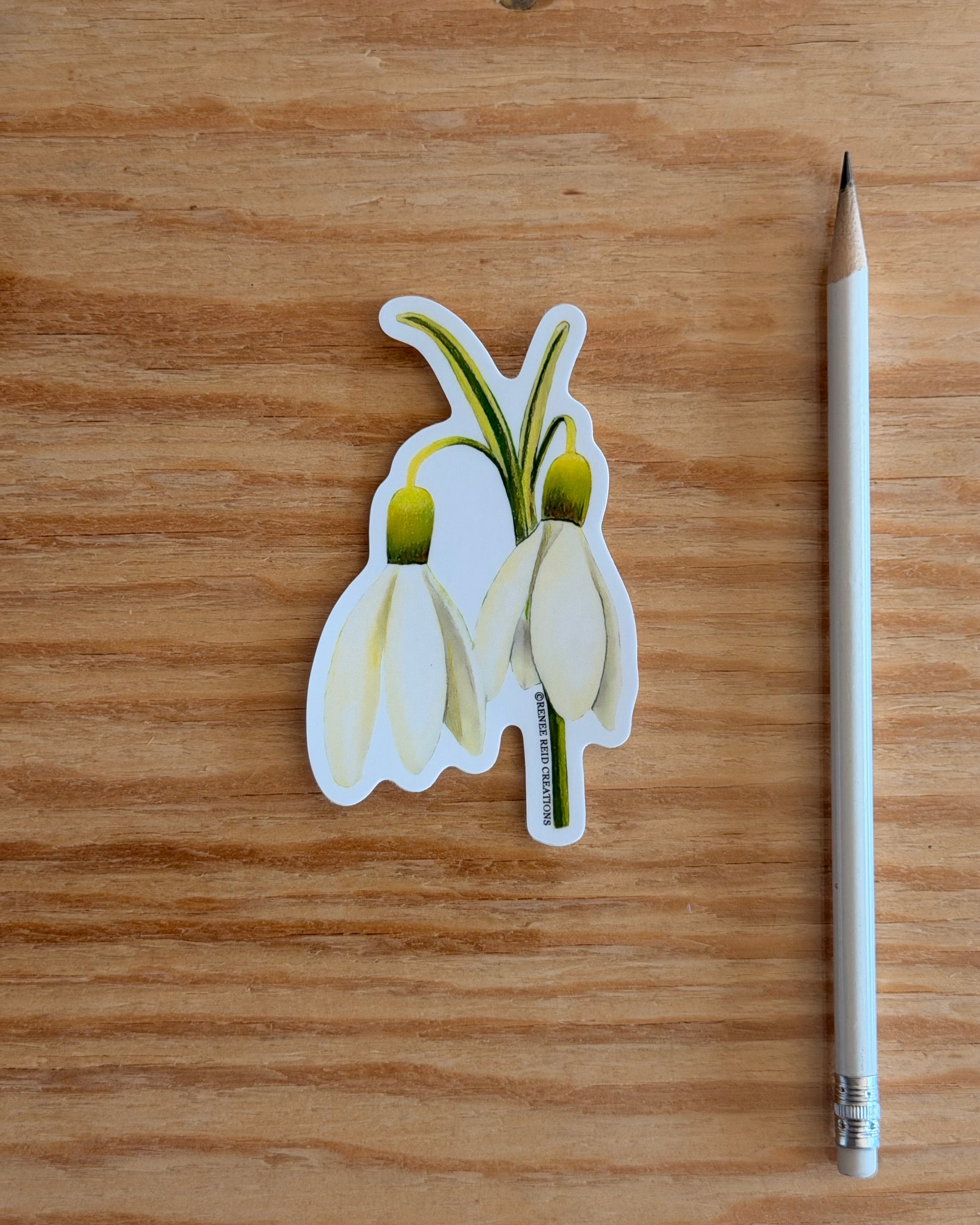 Snowdrop Duo Flower Vinyl Sticker on a wooden surface with a pencil next to it.