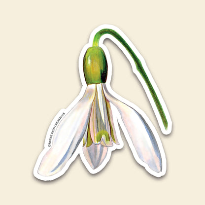 Snowdrop Flower Vinyl Sticker featuring a delicate snowdrop flower with white petals and a green stem.